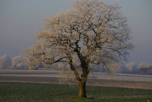 Driftsethe Winterbild Hagener Straße